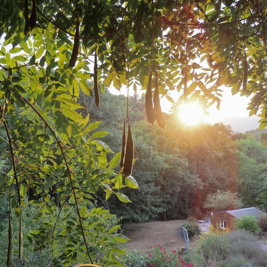 L'Evidence Prades (Ardeche) Exterior foto
