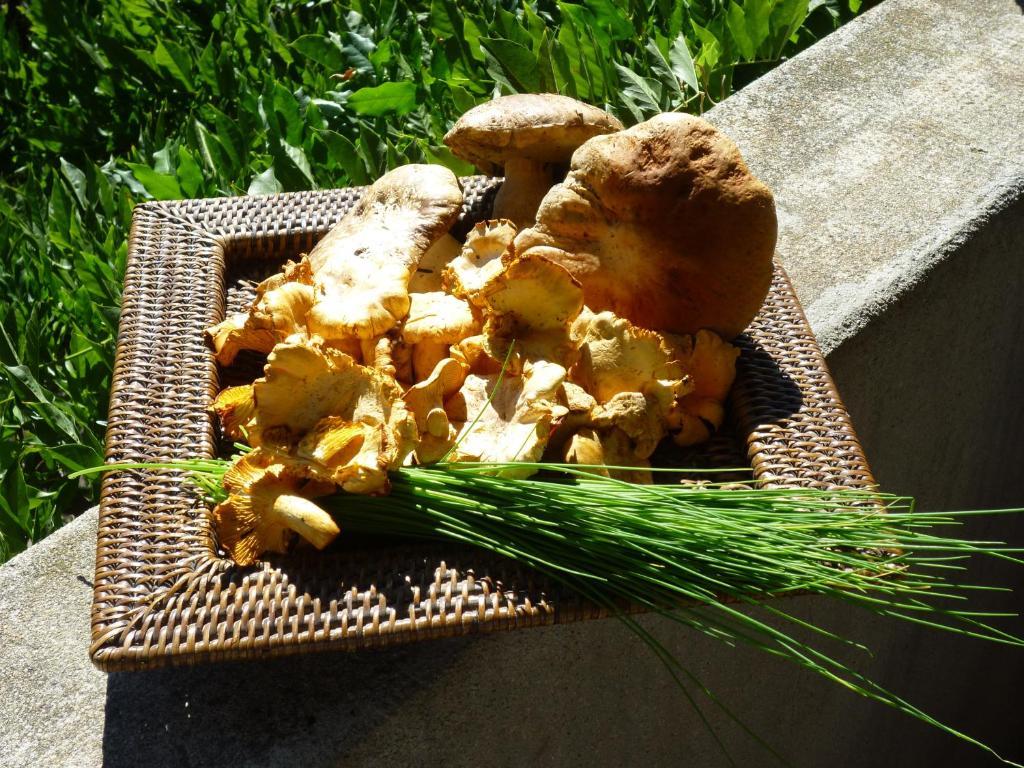 L'Evidence Prades (Ardeche) Exterior foto