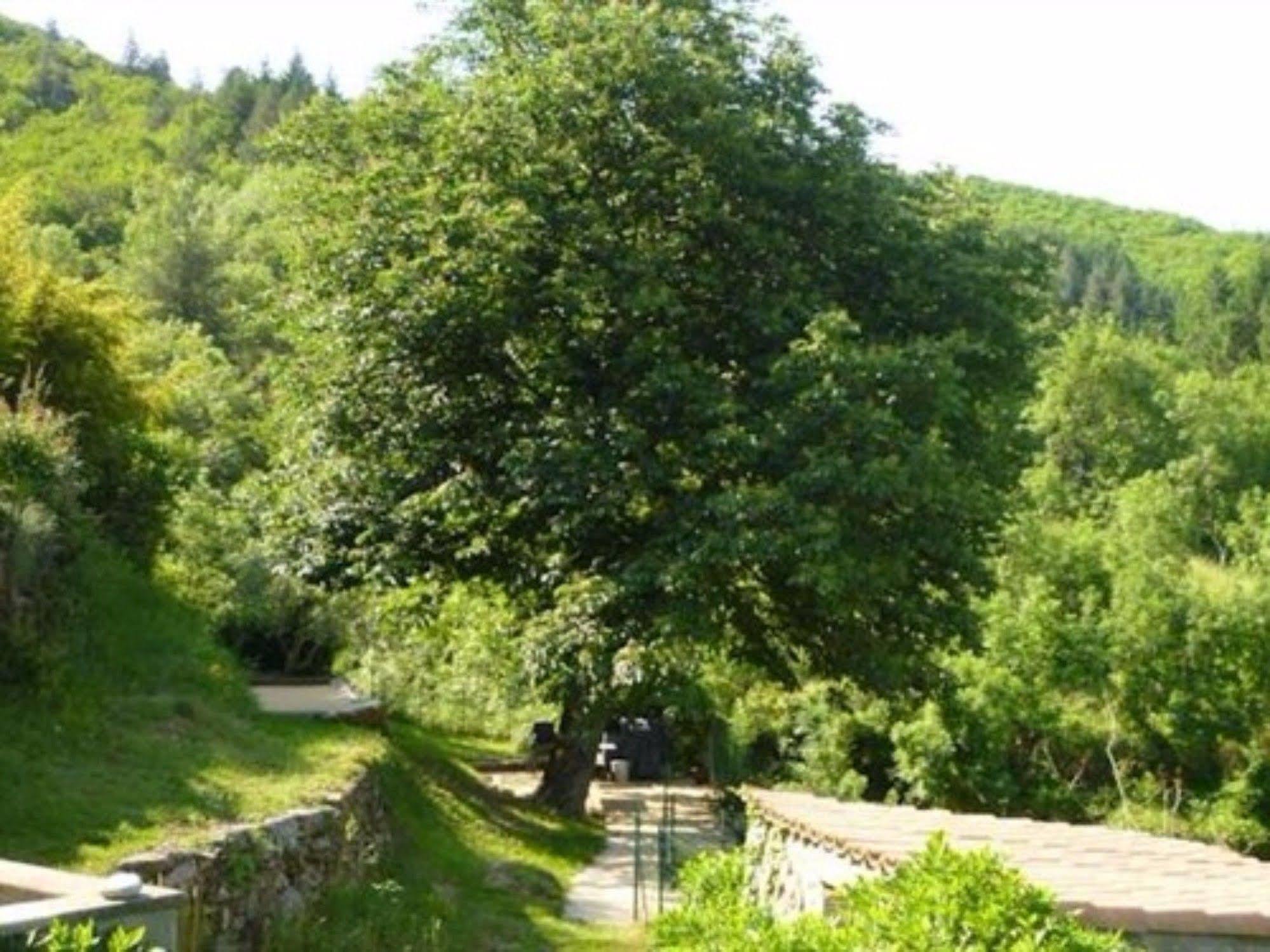 L'Evidence Prades (Ardeche) Exterior foto